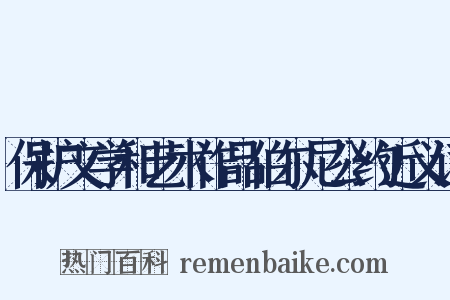 保护文学和艺术作品伯尔尼公约近义词是什么意思的图片